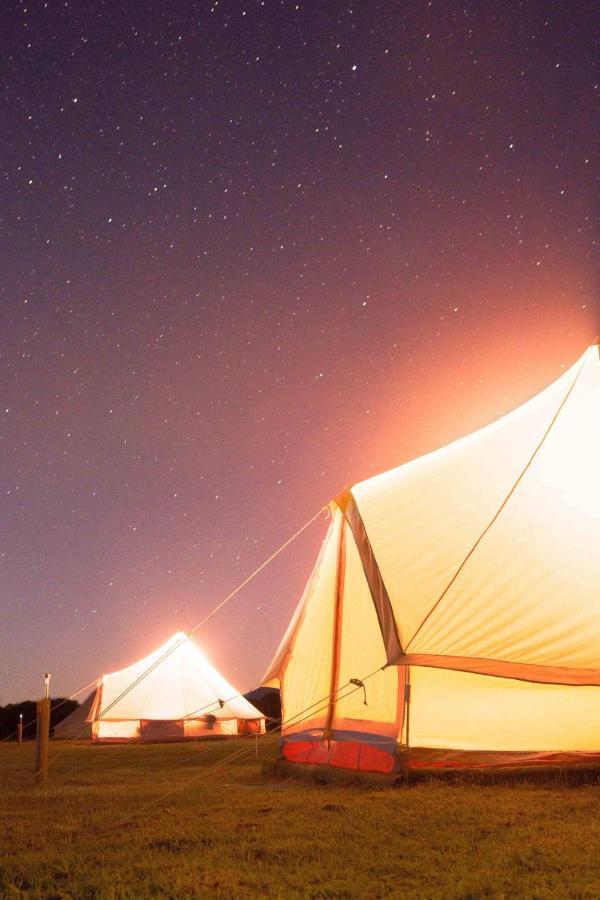 Coonawarra Bush Holiday Park Eksteriør bilde